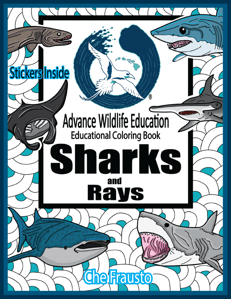 Sharks and rays educational coloring book