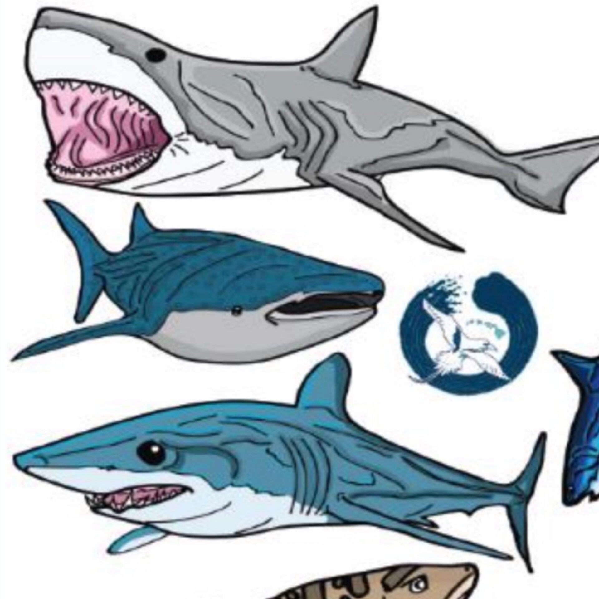 Shark stickers saltwater soul