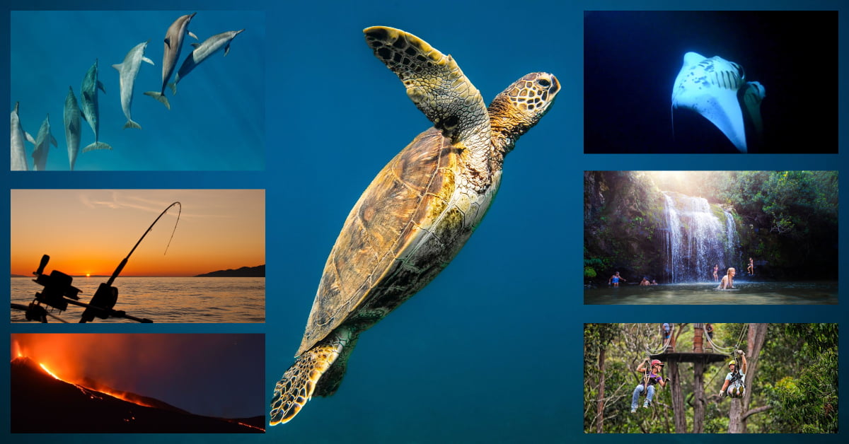 Saltwater Soul LLC photo 1 in Kailua Kona
