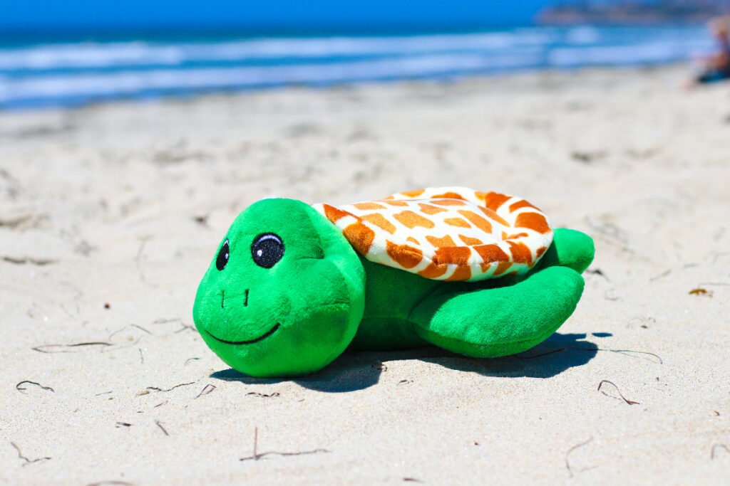 Shore buddies shelly the sea turtle