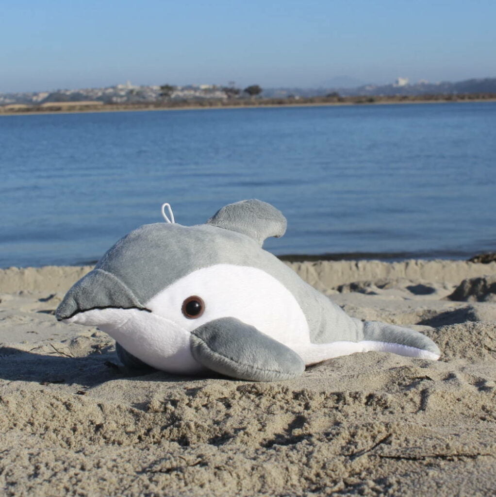 Shore buddies finn the dolphin