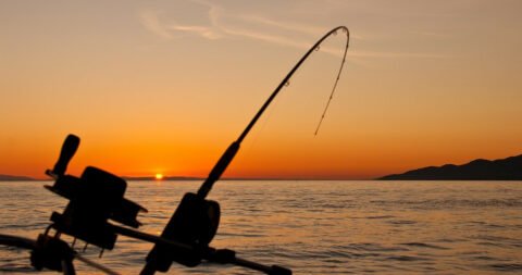 Fishing Charters