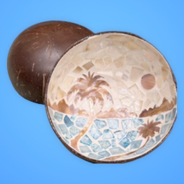 Hoku #7 Deco Coconut Bowl Surfside
