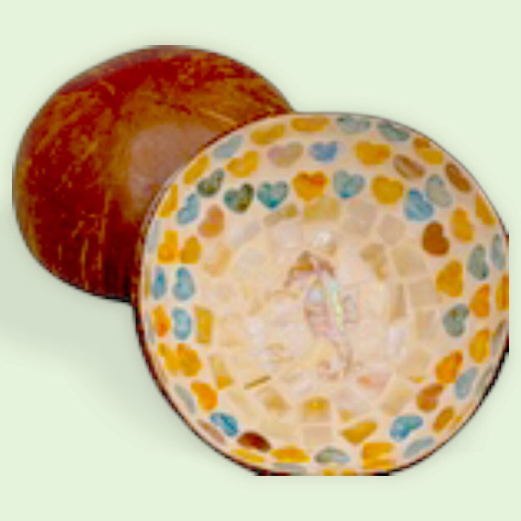 Hoku #12 Deco Coconut Bowl Seahorse Hearts