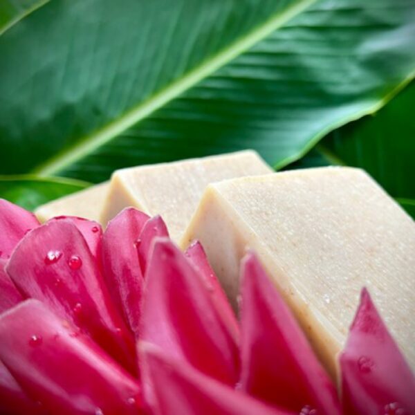 Avocado White Ginger Grapefruit Hawaiian Healing Soap