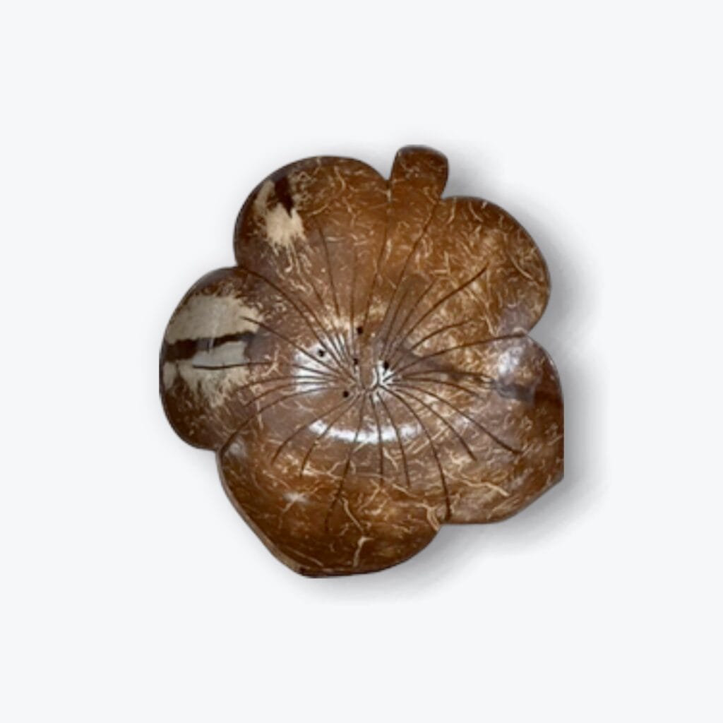 Coconut shell hibiscus soap dish
