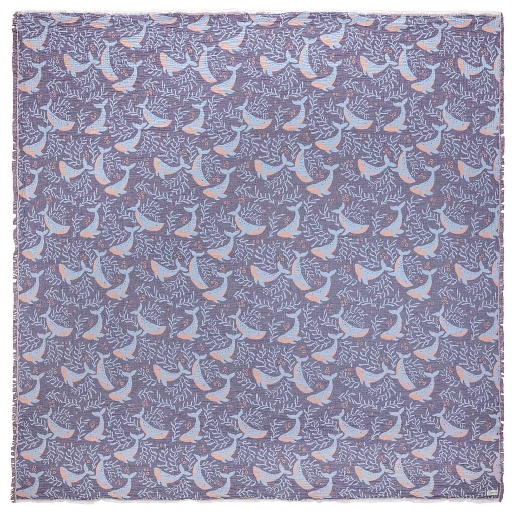 Sand cloud galapagos party blanket