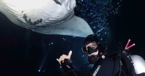 Manta ray night dive kona