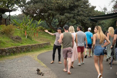 Coffee farm tours