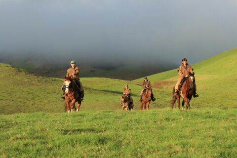 Paniolo horseback rides