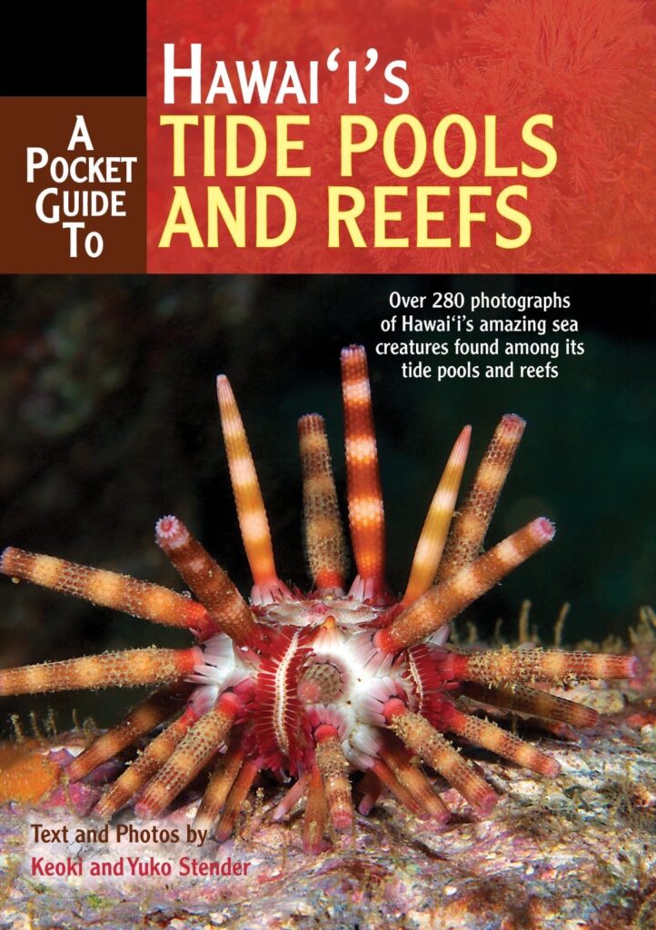 Pocket Guide to Hawaii’s Tide Pools and Reefs