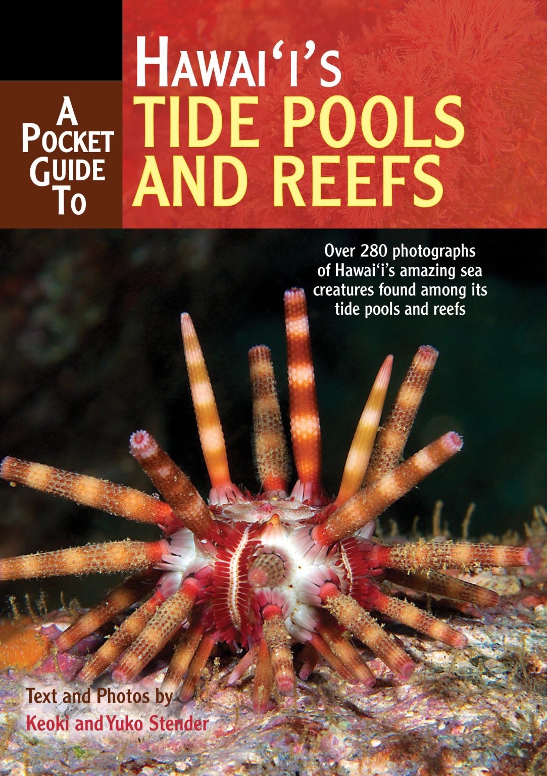 Pocket Guide to Hawaii’s Tide Pools and Reefs